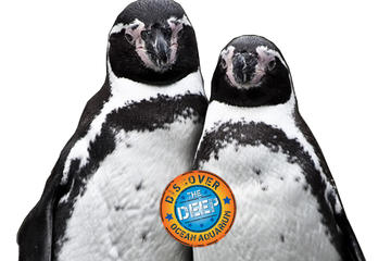 Ocean Aquarium Park Protaras Ticket only