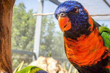 Pafos Zoo