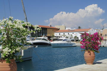 Private Walking Tour of Limassol