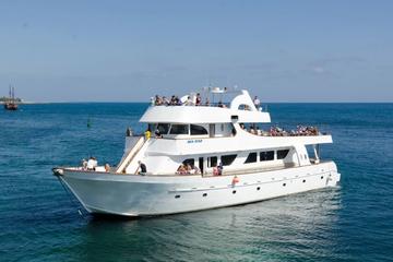 West Coast Sea Star Cruise with Lunch and Hotel Pickup and Drop-Off from Paphos