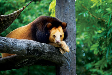 Phnom Penh: Wildlife Rescue Center Full-Day Tour