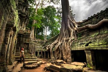 Ta Prohm and Banteay Srei Temples - Private Tour from Siem Reap
