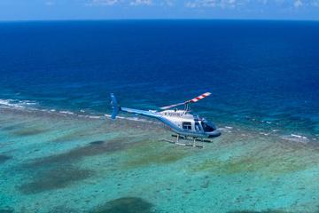 Belize City and Reef Helicopter Tour