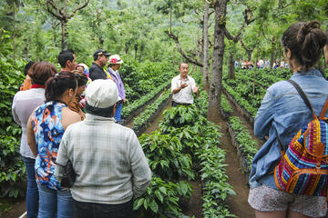 Coffee Tour from Managua