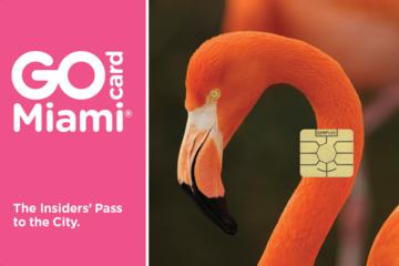 Day Trip Go Miami Card near Miami, Florida 