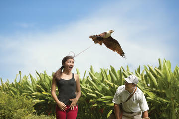 Bali Bird Park Admission Ticket