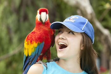 Discover Bali Bird Park
