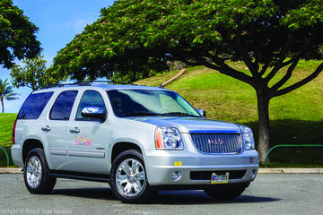 Create Your Own Tour - Executive SUV