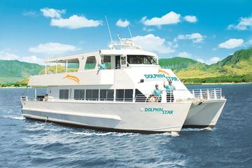 Oahu Dolphin-Watching Cruise with Optional Lunch