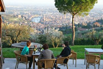 2-Hour Wine Tasting Session in Verona Hills