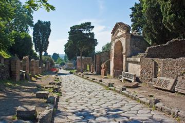 Archeological Site of Pompeii: guided tour for small groups