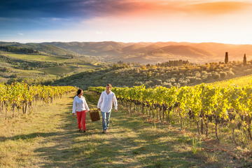 Chianti Classic Tour and Tasting from Bologna