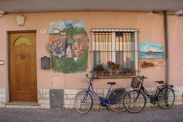 Fellinian Rimini private walking tour with a local guide