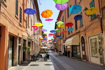 From Bologna: 3-hour Private Guided Ferrara Tour