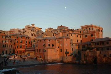 Genoa and its music tradition in a private guided tour