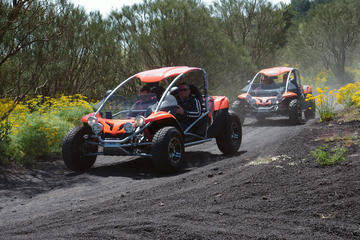 Half-day Mount Etna, Silvestri Craters, and Cassone Lava Cave Buggy Tour