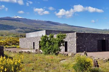 Half-Day Private Mt Etna Wine Tasting Experience from Catania