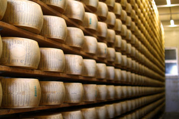 Parmigiano Reggiano: Tour and Tasting from Verona