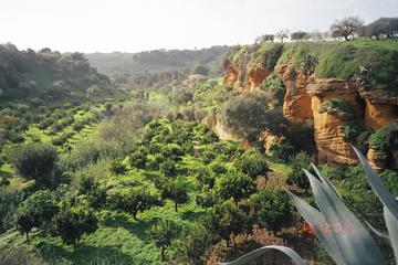 Private tour of the Valley of the Temples and Kolymbethra in Sicily