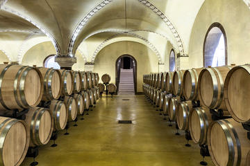 Prosecco and Amarone Wine tasting in Verona at Tenute Salvaterra