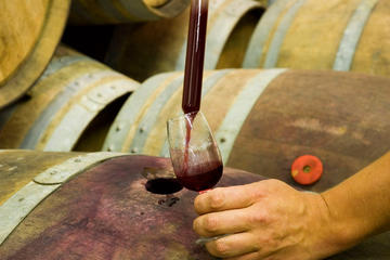 Verona Wine Tasting and Winemaking Tour