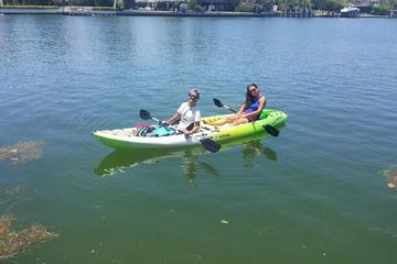 2 Hour Miami Beach Double Kayak Rental
