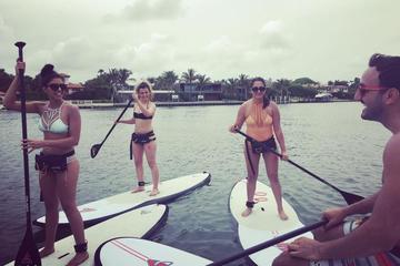 2 Hour Miami Beach Paddle Board Rental