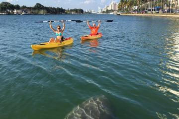 2 Hour Miami Beach Single Kayak Rental