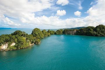 Full-day Los haitises national Park and natural Spa