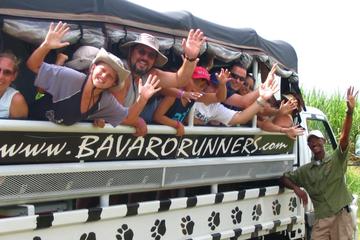 Rum Runners Safari