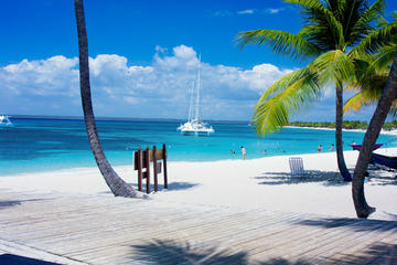 Saona Island Paradise