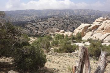 Private Tour: Dana Nature Reserve Hike and Dead Sea with lunch
