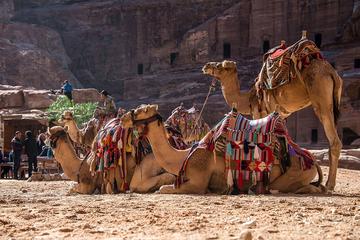 Private Tour from Amman: Petra with Camel Ride