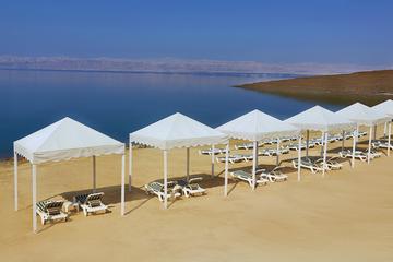 Private Tour Jerash and Dead Sea with lunch