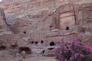 Private Tour Petra and Shobak Castle from Amman