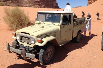 Private Tour: Wadi Rum Jeep and Camel Adventure from Petra