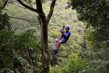 Guanacaste Volcano Tour from Papagayo Gulf