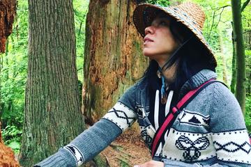 Stanley Park First Nations Interpretive Walking Tour