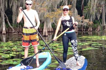 1-Hour Stand Up Paddle Board Rental from Lake Buena Vista Area