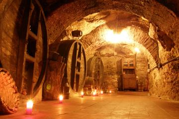 Don Carlos S.XV Historical Winery Theatrical Guided Visit