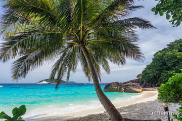 Snorkeling Full Day Trip at Similan Islands by Speed Boat from Sarasin Pier Phuket