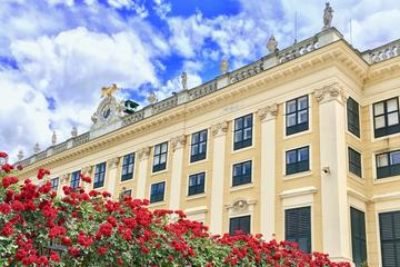 Vienna Schoenbrunn Palace and Gardens Tour