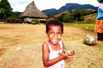 Full-day Nalesutale Village and Fijian Culture Tour from Nadi