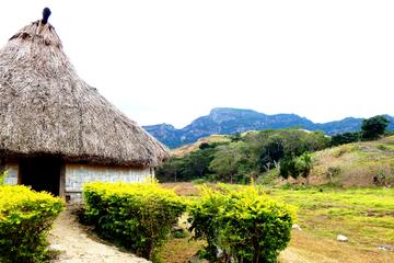 Half-Day Nalesutale Highland Tour