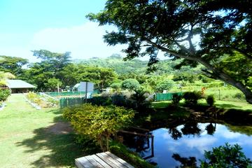 Waterfall and Therapeutic Half Day Tour