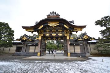 Nijo Castle and Imperial Palace Visit with Private Guide