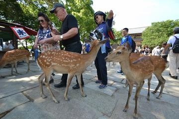 Private Excursion to Nara