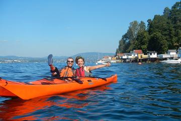 3- Hour Kayak Tour on the Oslofjord