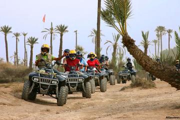 Half-Day Quad Biking in the Palm Groves of Marrakech