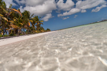 Four Beaches VIP Tour with Lobster Lunch & Snorkeling